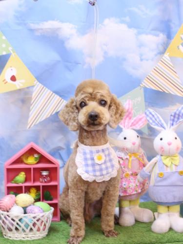 20240324ノンくん